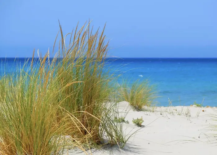 Akenta Your Refuge Between Sea And Nature